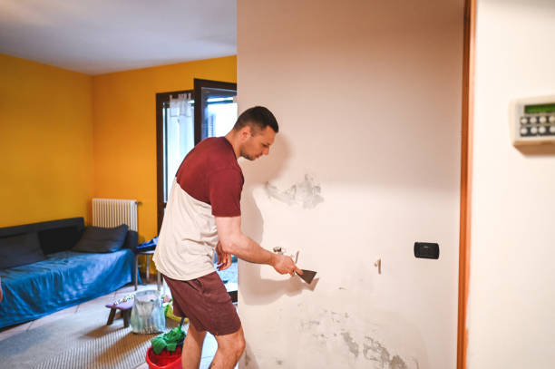 Best Residential Mold Remediation in Golden Grove, SC